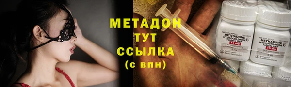 прущие грибы Абаза