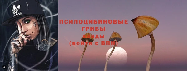 прущие крисы Абинск